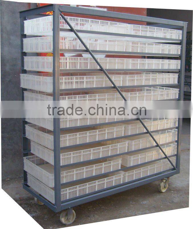 chicken egg basket(200chicks)