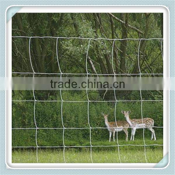 Electro galvanized horse/sheep/cattle/deer/cow fence panel