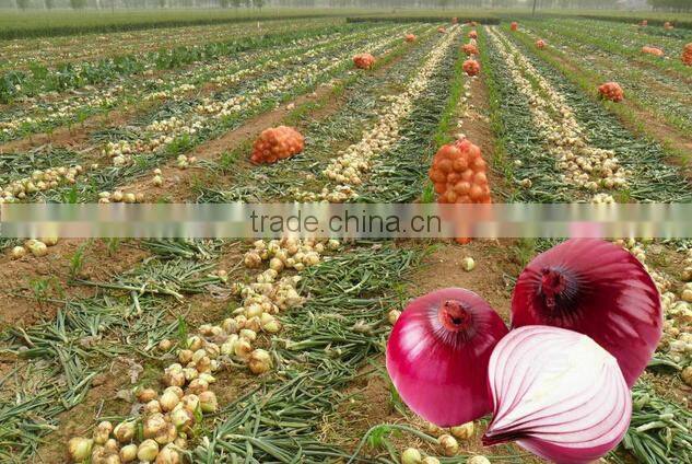 Wholesale small seeds planter manual