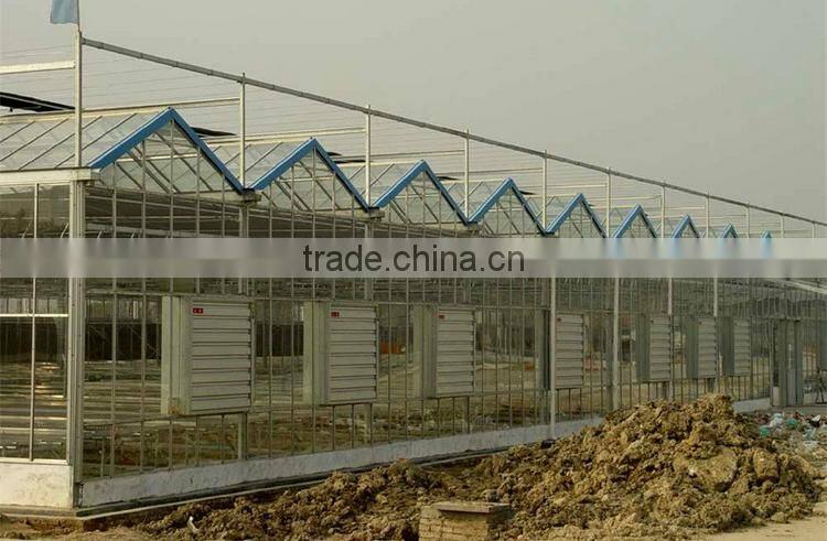 Commercial Greenhouse for agriculture