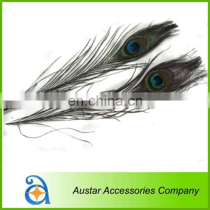 High Quality Peacock Feather Pieces FOR Decorative