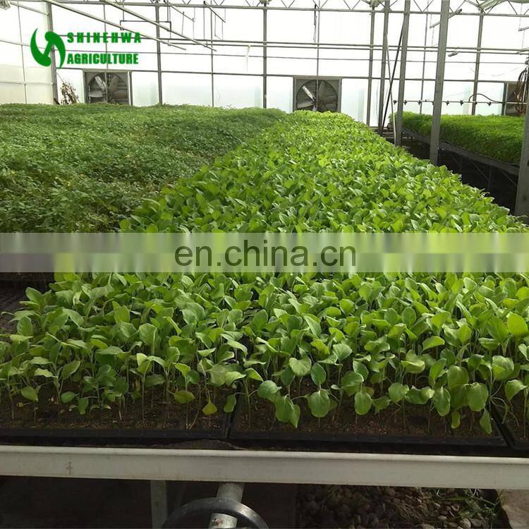 2017 Alibaba Factory Agriculture Seedbed Greenhouse Used For Sale
