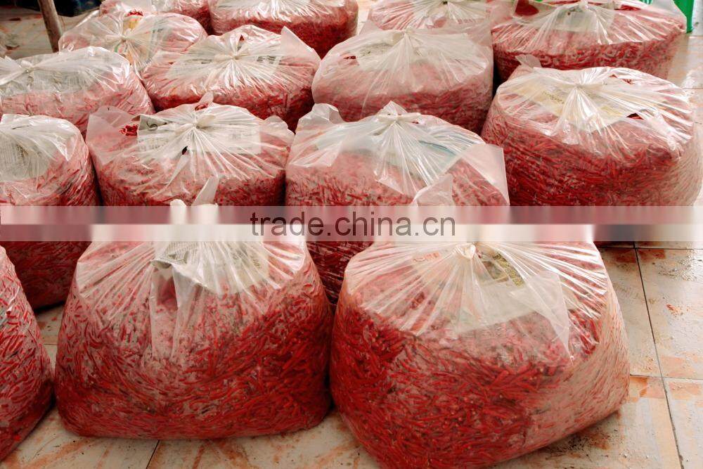 Big Red Chili exporting Vietnam