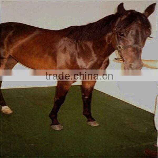 Horse rubber flooring/stall rubber floor