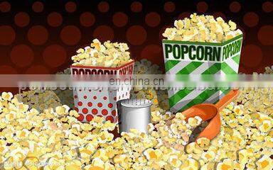 Industrial 8Oz Popcorn Machine /Commercial Popcorn Mahine