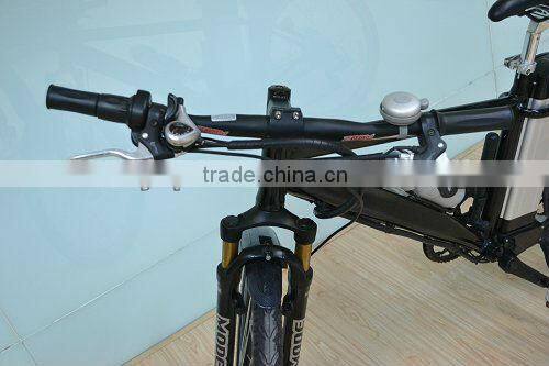 cheap green power bike,electric bike (LD-EB201)