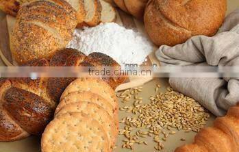 Adjustable Salamander