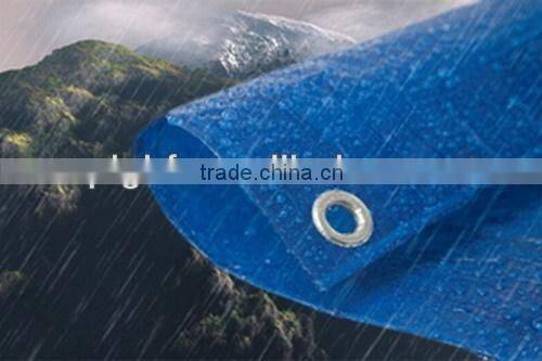 ISO9001 Good Quality& Best Price Sample Tarpaulin Sheet