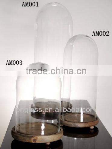 Large Glass Bell Jar With colored Wooden Base