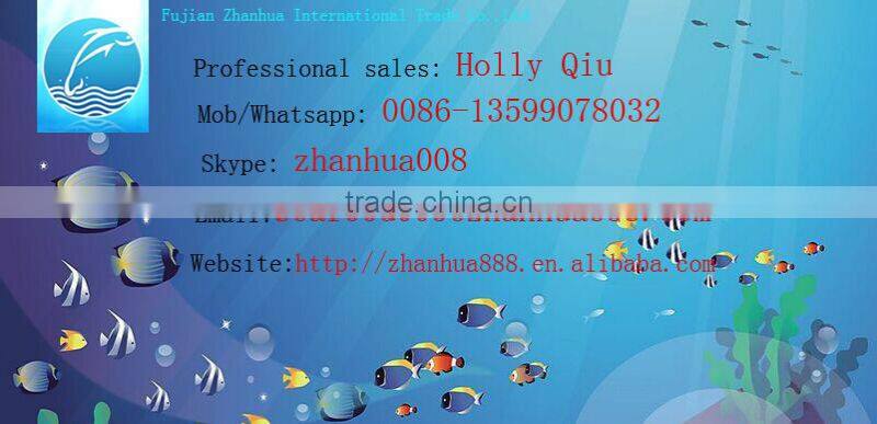 Frozen canned mackerel fish in brine 425g