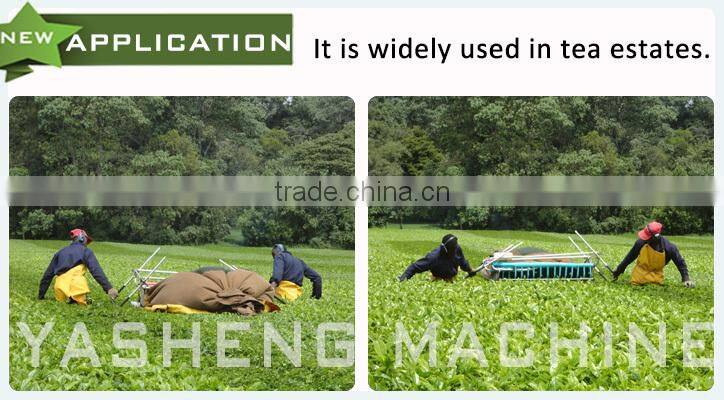 Hot Sale Two-man Tea Picker for Sale