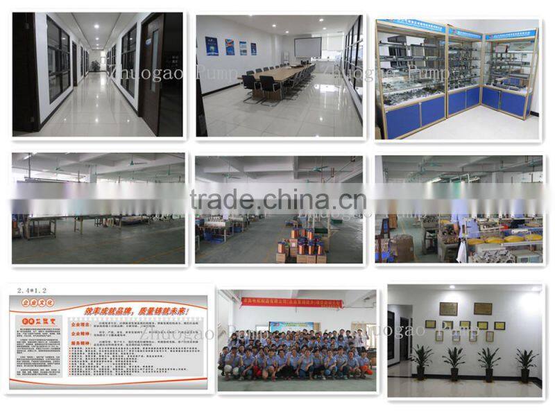 DC 24v solar submersible water pump (CE, UL, ROHS, VDE, FC, CCC low power consumption, safe and low noise)