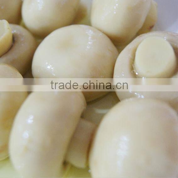 Canned Mushroom Pieces and Stems