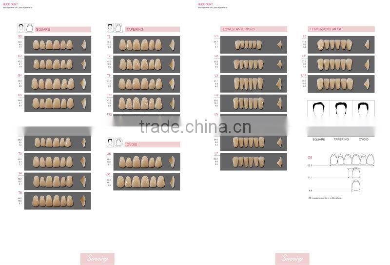 Huge Dental Sonning Full set Acrylic Denture Teeth