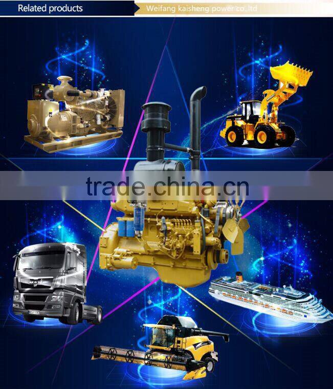 Weifang 495D 20kw 25kva 27Hp ricardo slient diesel generator price