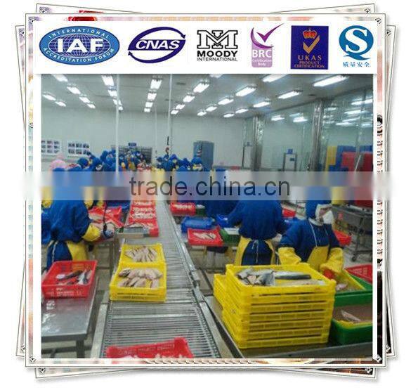 Scomber Scombrus Fillet