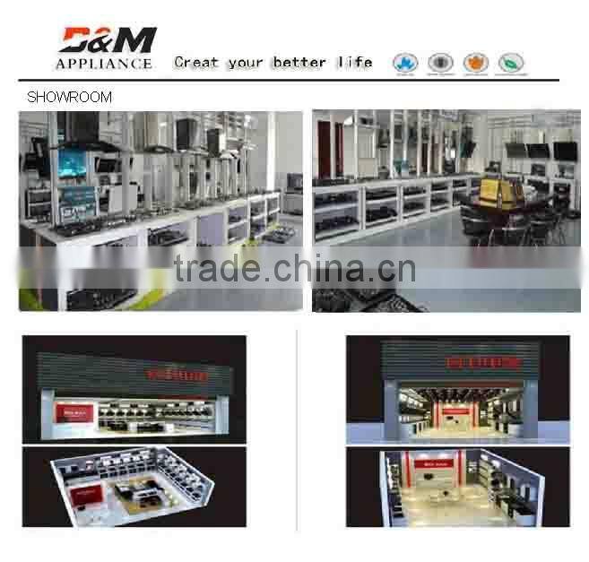 newest cast iron gas burner/ build-in gas stoves