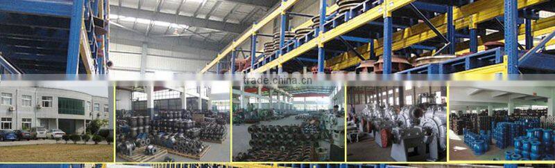 JT-7.5 Vertical Fecal sludge septic tank manure mud sewage pump