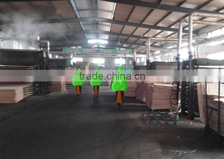 Low price for sale 18mm plywood poplar core