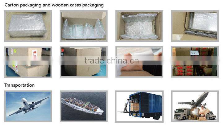 Custom acrylic mini fish tank/aquarium with two divides fish tank