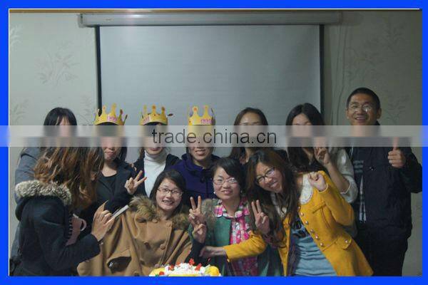 large amusement park rides outdoor Trackless Train For Children