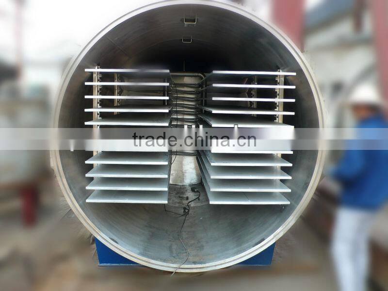 JDG Series Vacuum lyophilizer for food