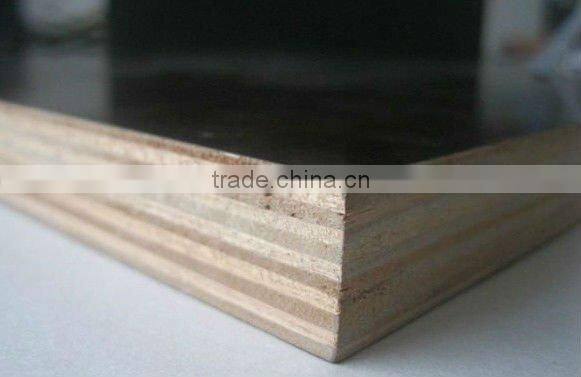 1220*2440mm best price veneer plywood for furniture