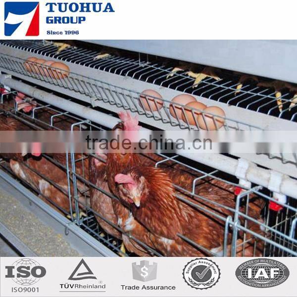 120birds A type folding chicken cage