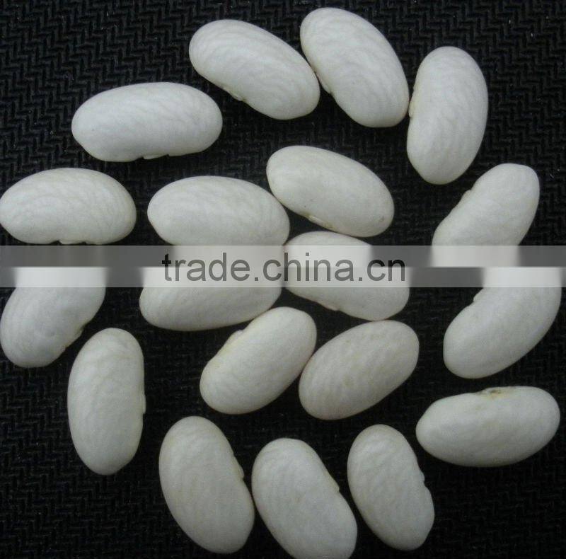 New Crop White Beans With Japanese Type