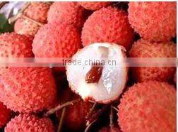 Fresh The King of Litchi(LanZhu) From Fujian China