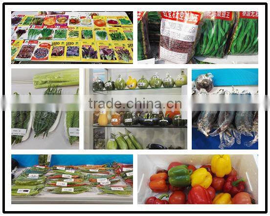 2016 High quality Hybrid Bitter gourd seedsfor growing-Zheng Cui