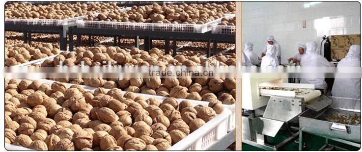 2015 new crop dried thin shell Xinjiang origin walnut in shell