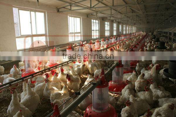 pan feeder for broiler