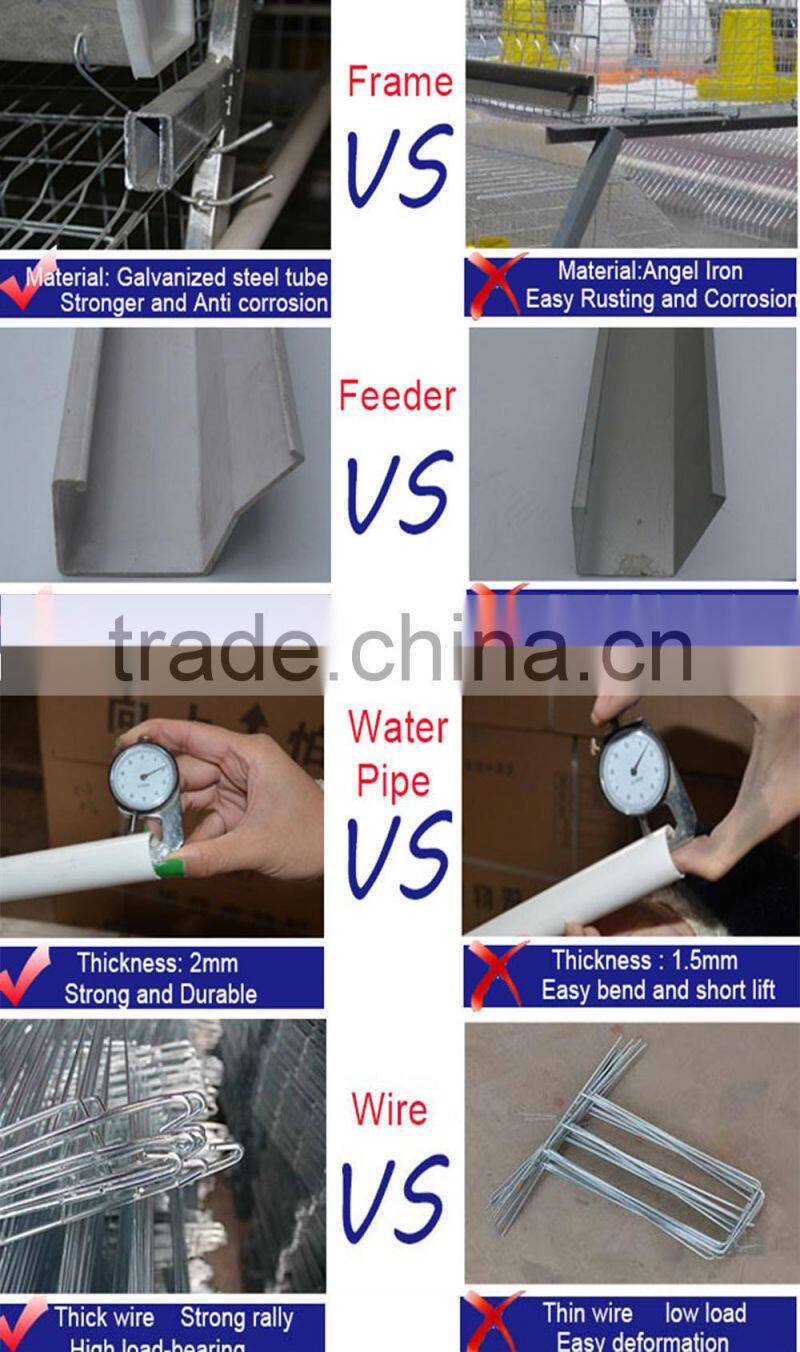 manual chicken cage with A type