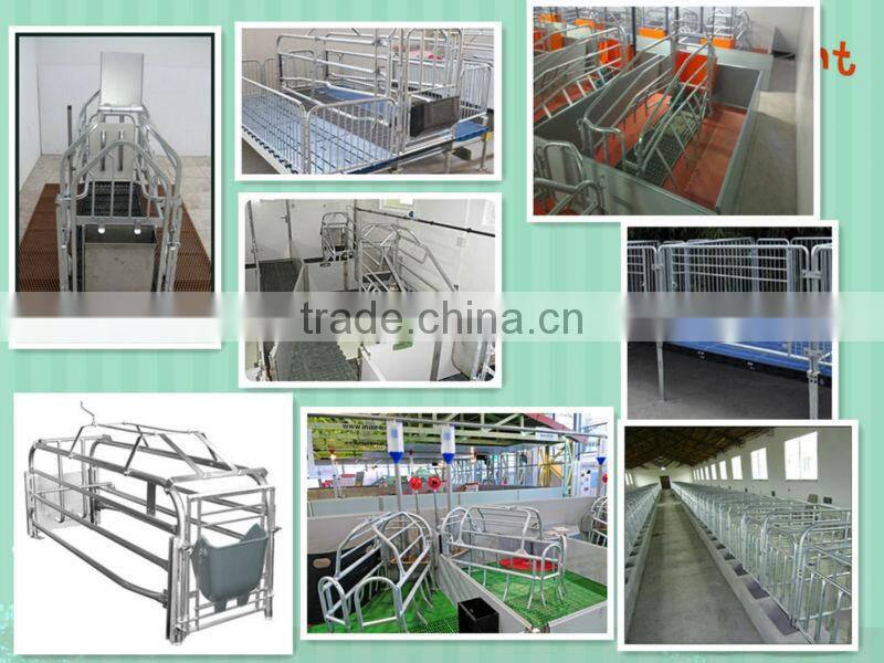 pig farming floor equipment