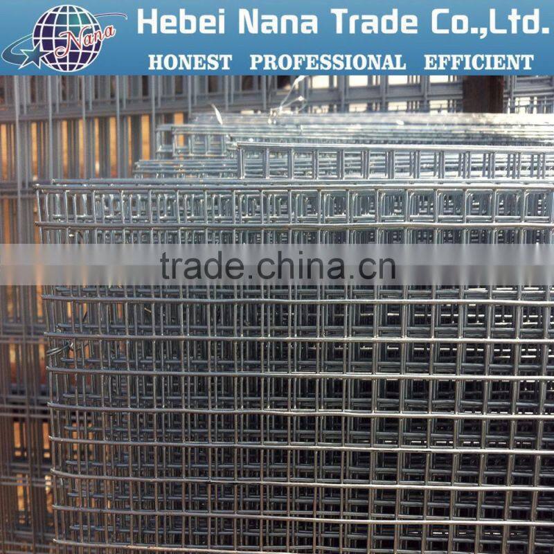 Cheap electro galvanized welded wire mesh from China