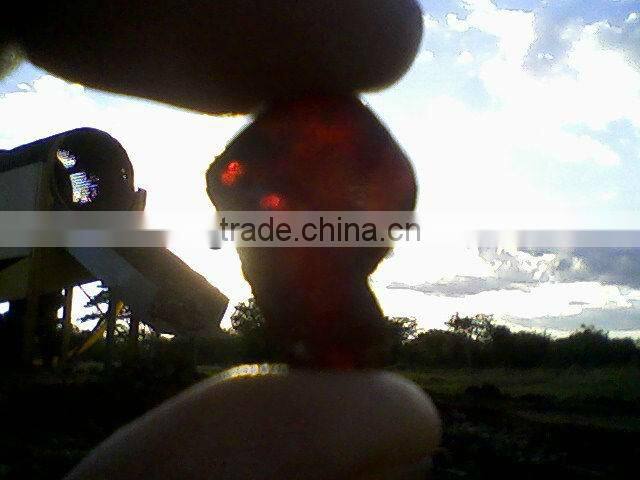 200 tons Alluvial Gold wash plant for sale