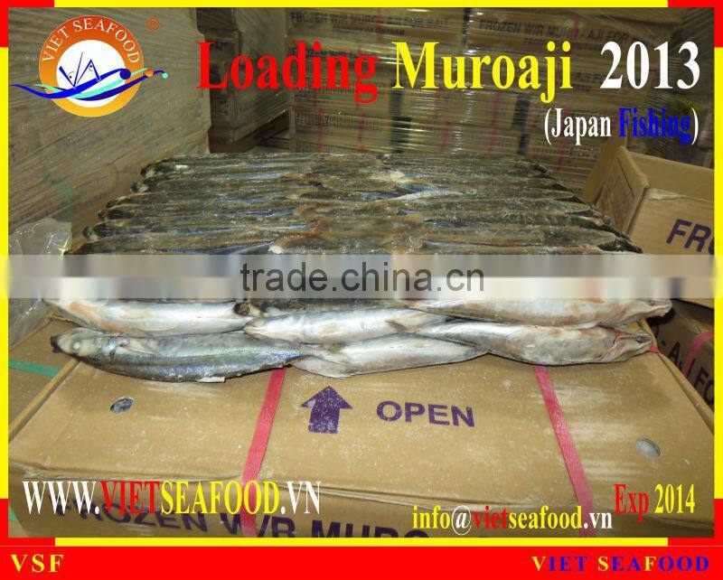 LOADING MUROAJI FOR TUNA BAIT