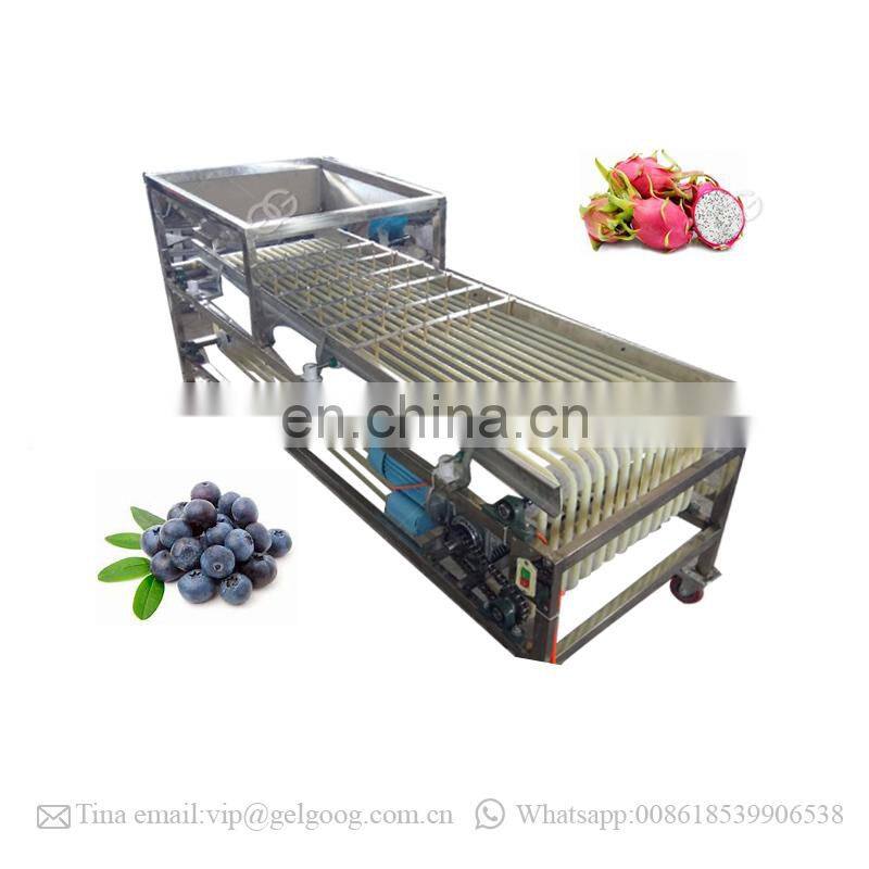 Fruit And Vegetable Peaches Tomato Grader Dragon Fruit Grading Machine