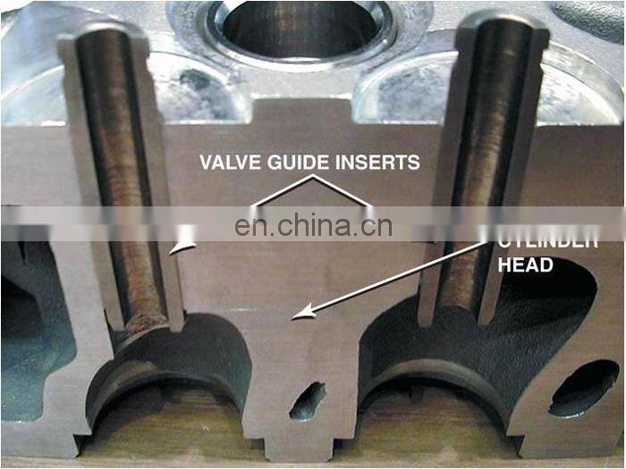 Dachai TCD2013 L06 4V Cylinder Valve Guide 04250074 for Bus Engine