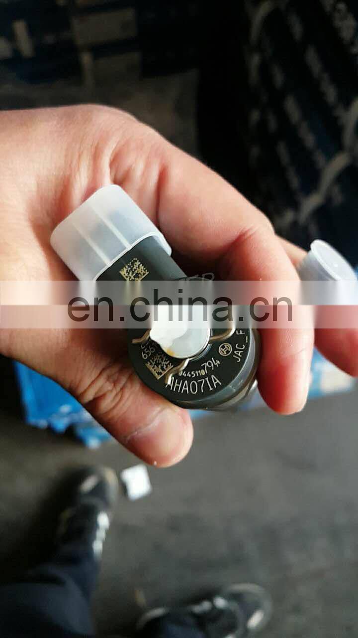 Engine Common Rail Injector 0445110465 0445110466 0445110717 0445110718 0445110794 for JAC HF4DA1-2C