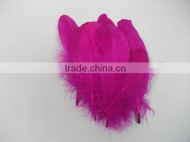 Hot Design!!! Factory Suppler Colorful Feather Accessory
