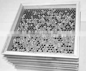 offee bean classifier machine/soybean grading machine/blueberry grading machinery