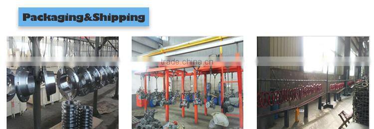 DIN Welding Neck carbon Steel forged Flange supplier
