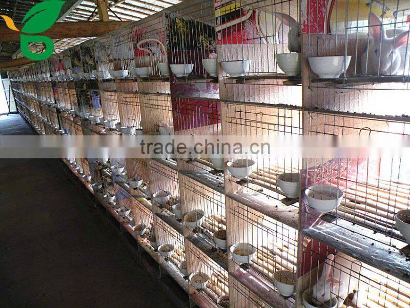 galvanized steel commercial rabbit cages for 12 rabbits, 24 rabbits