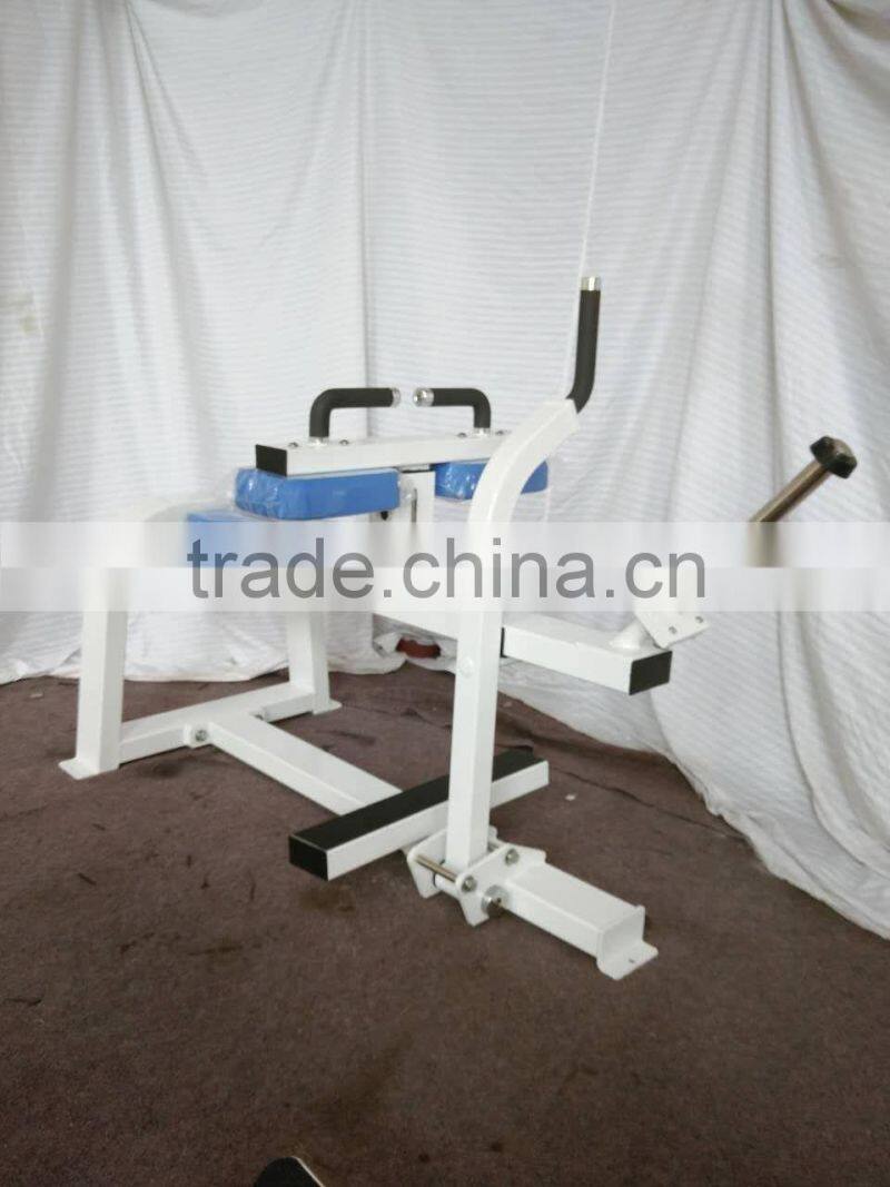 Commercial grade fitness equipment Back Extension Preco series for strength