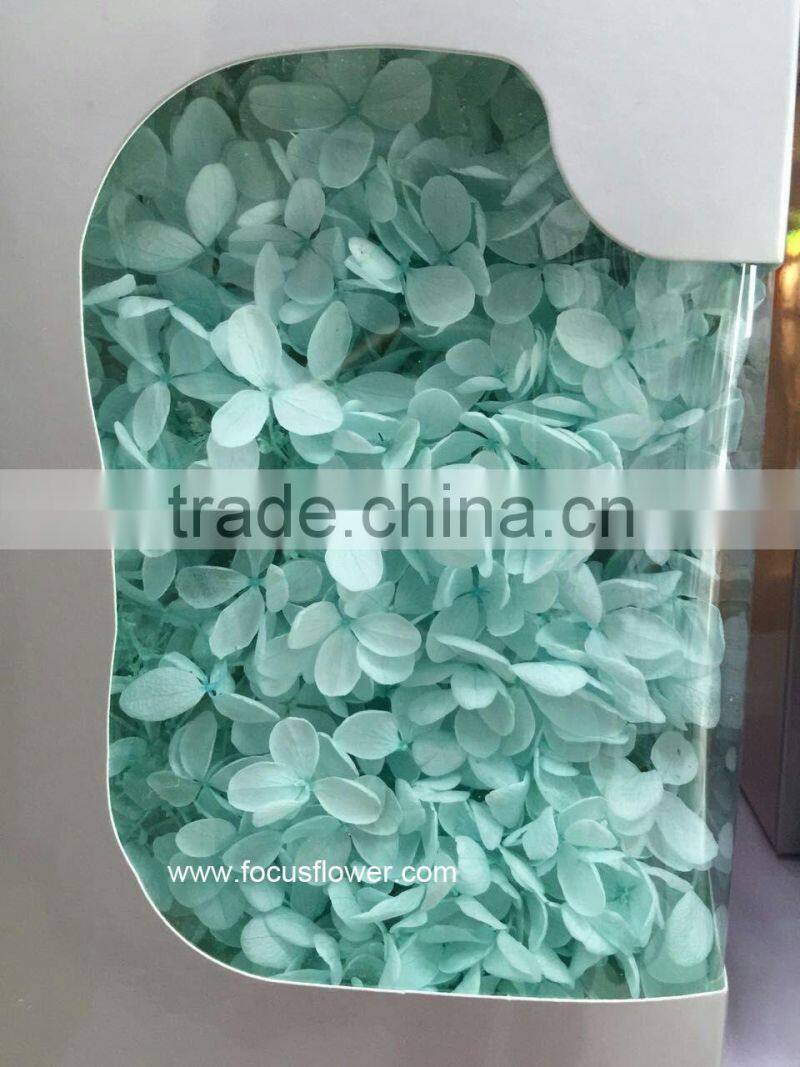 Top Quality Flower Export Preserved Flower Colorful Wholesale Artificial Hydrangea Flowers