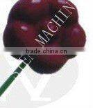 Newly jelly candy mould