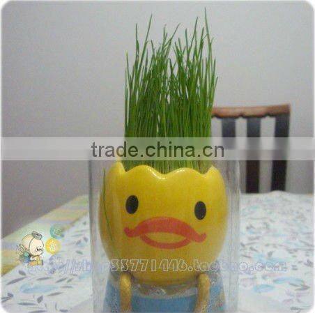 indoor plant growing kit diy mini planter set diy flower garden