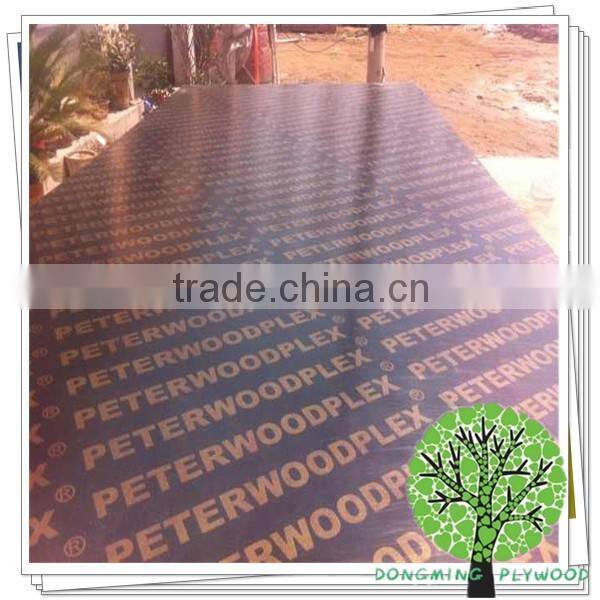 18mm Waterproof Plywood Sheet
